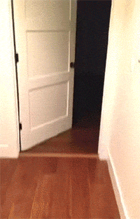 the-internets-funniest-gifs-13