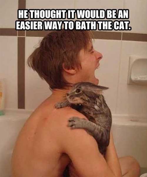 instant-regret-cat-bath