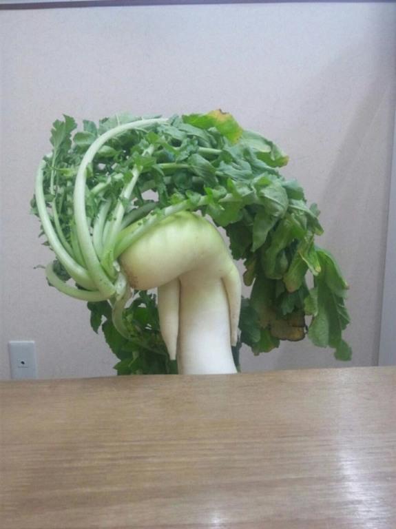 vegetable6