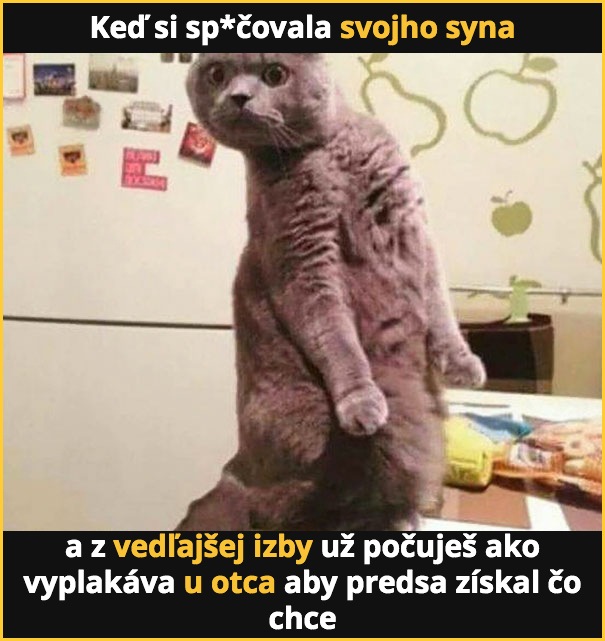 rodicovske-meme10