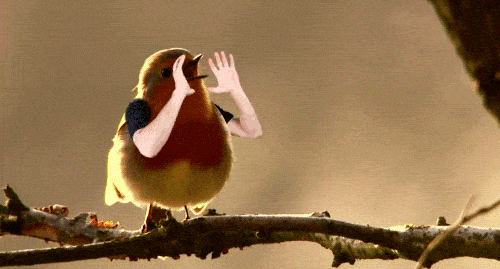 bird-with-arms3